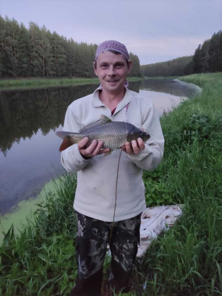  54041442  , 37 ,    -