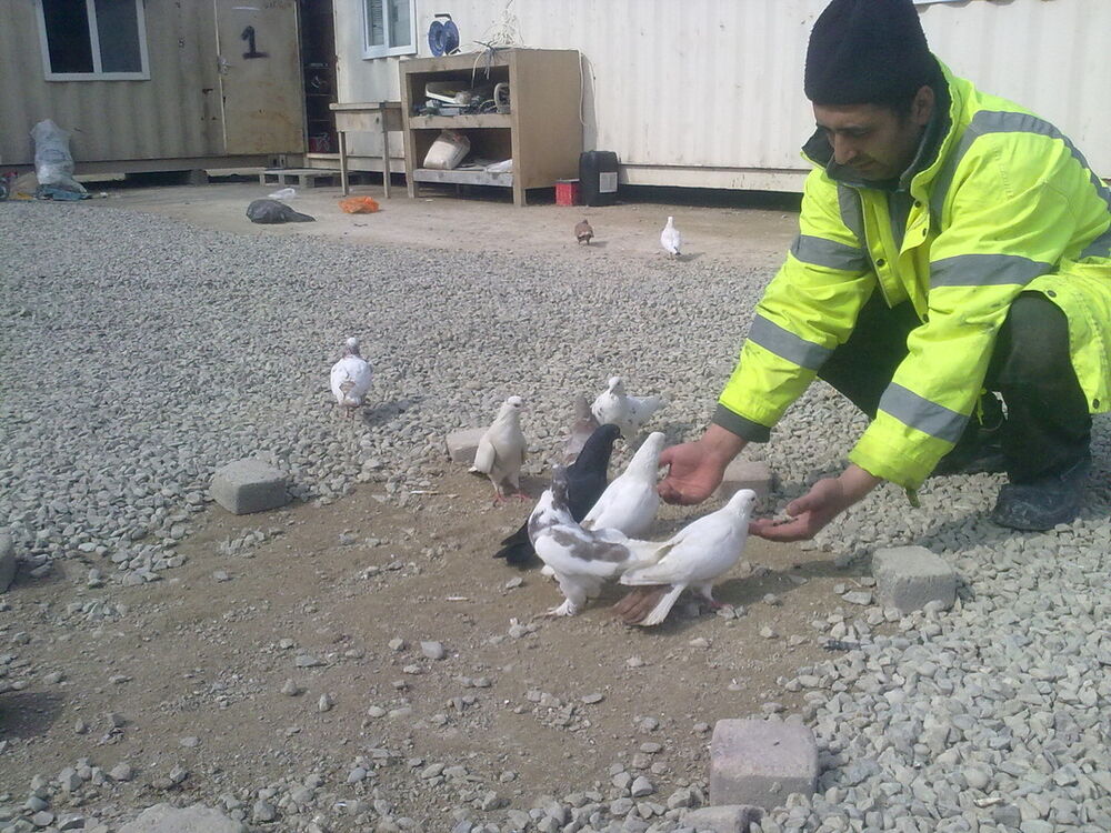  6242292  Ruslan, 42 ,    