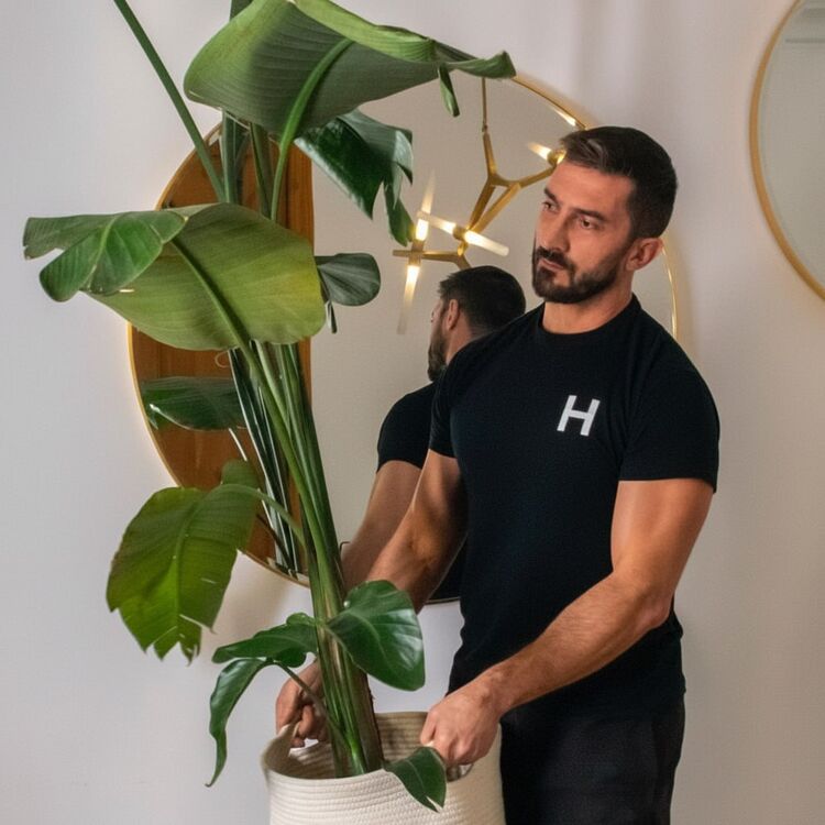 ���� 55430622 ������� ������, 35 ���, ���� ���������� � �����-����������