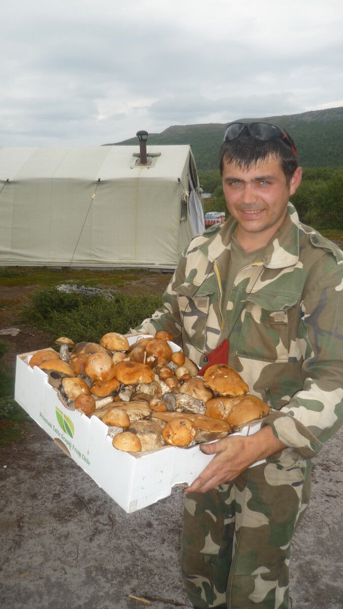 ���� 7173712 ������� ������, 41 ���, ���� ���������� � ������