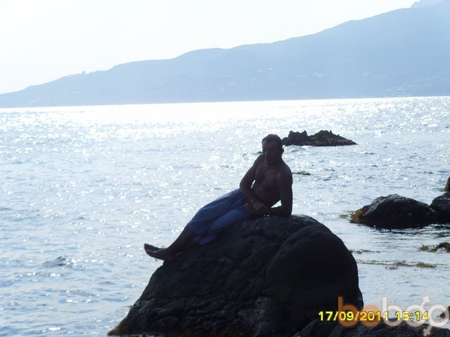   ,   , 51 ,   