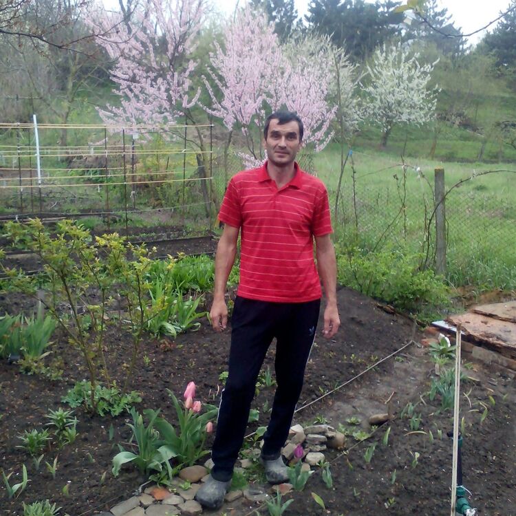 ���� 29376012 ������� ������, 48 ���, ���� ���������� � �������������