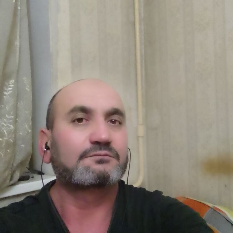 ���� 31313012 ������� �������, 50 ���, ���� ���������� � ������������