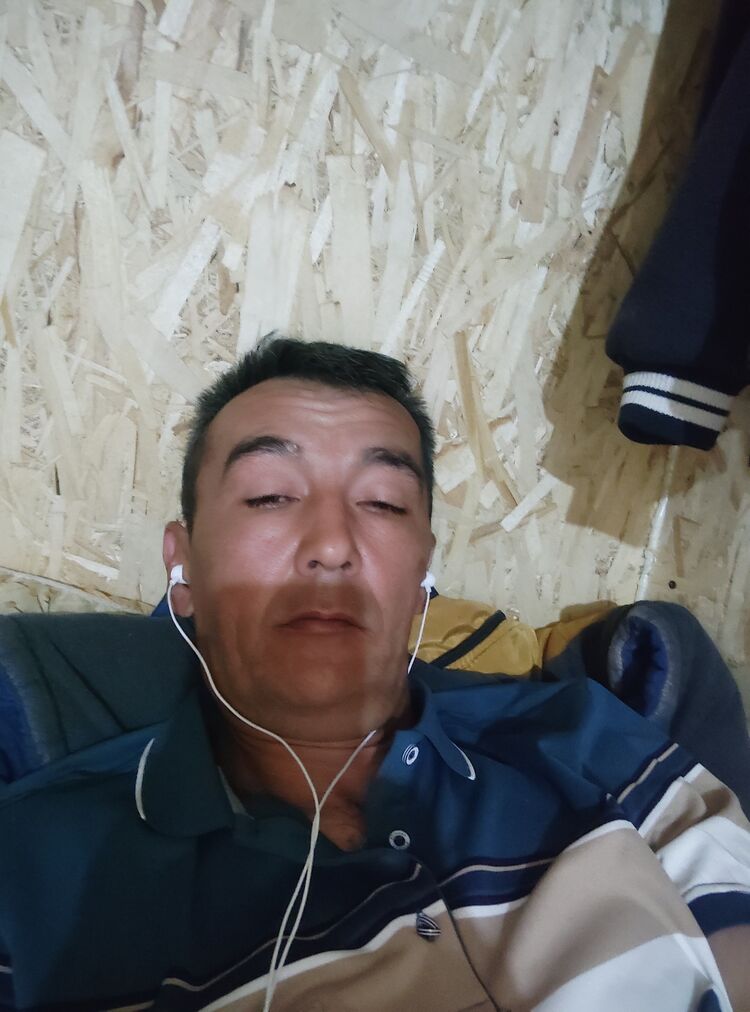  43366722  , 44 ,    