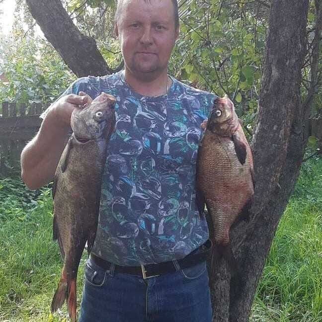  23167292  Aleksei, 44 ,    