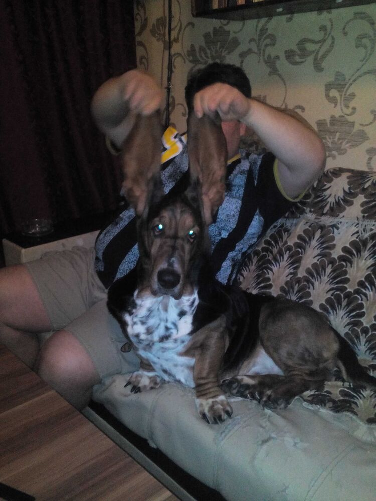 ���� 26554672 ������� �����, 48 ���, ���� ���������� � �������������