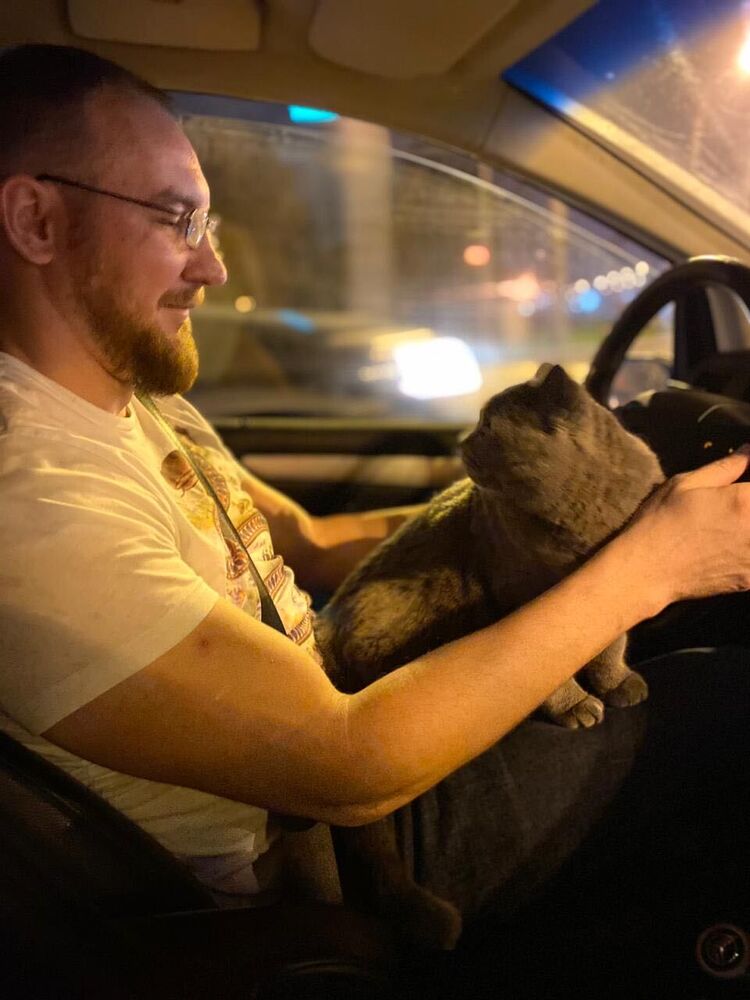 ���������� �����-���������, ���� ������� ���������, 38 ���, ������������ ��� ������, ����� � ���������, c�������� ���������