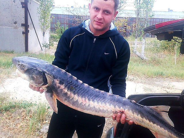 ���� 13413172 ������� �����, 42 ����, ���� ���������� � �����