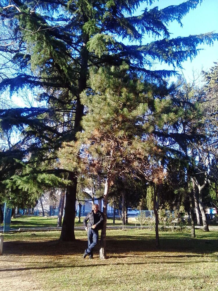  53173302  OLEG, 56 ,    