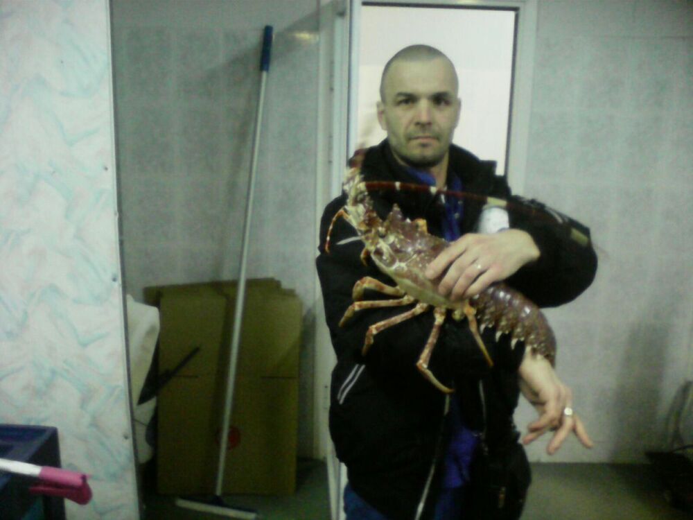 ���� 23819912 ������� ��������, 49 ���, ���� ���������� � ������