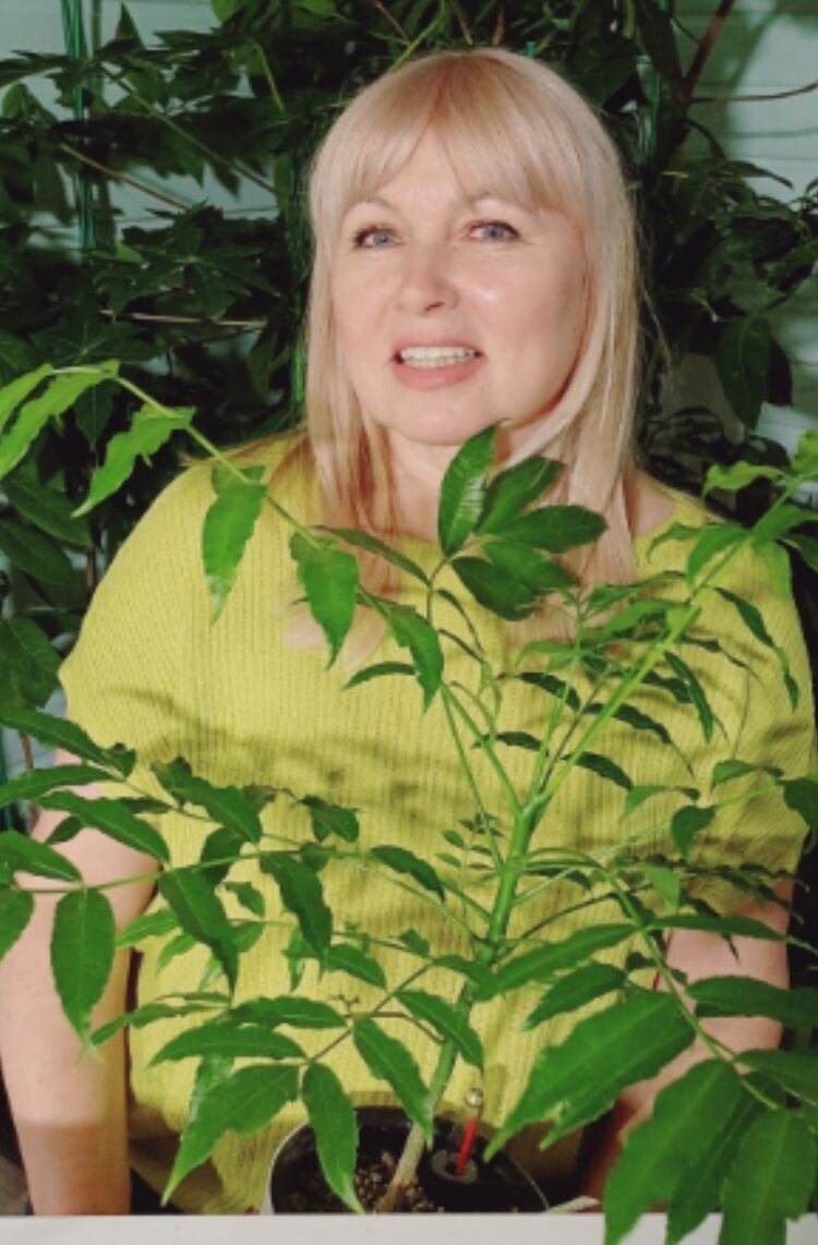 ���� 55983642 ������� �����, 58 ���, ���� ���������� � ������