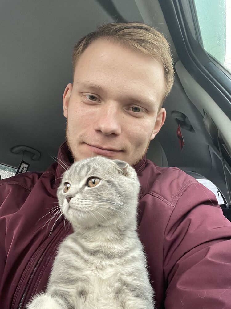 ���������� ����, ���� ������� ������, 29 ���, ������������ ��� ������, ����� � ���������, c�������� ���������