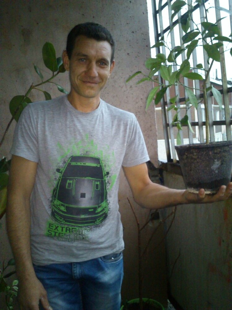 ���������� ������������, ���� ������� Vist, 49 ���, ������������ ��� ������