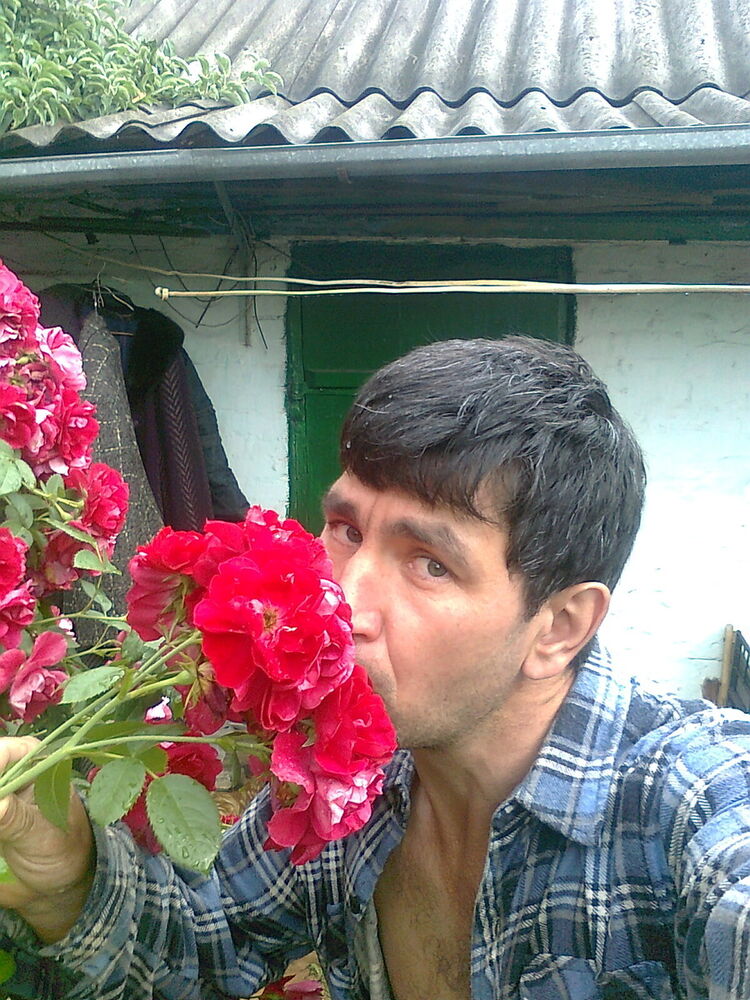  ,   , 52 ,  