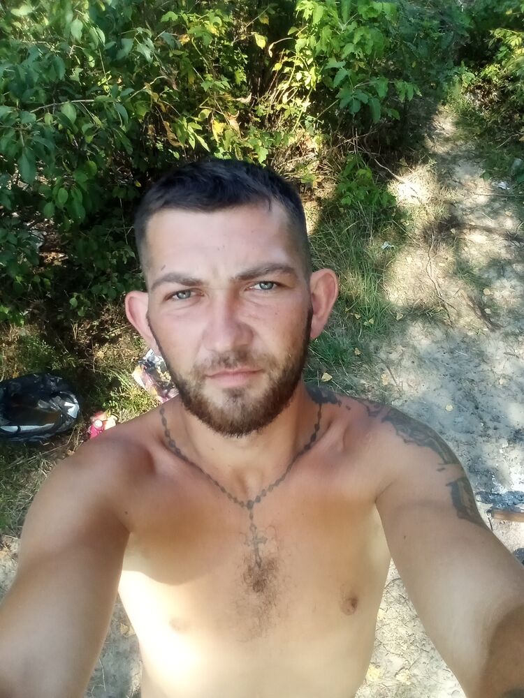  43574032  , 31 ,    
