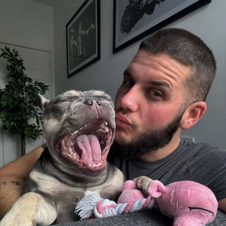 ���������� ������, ���� ������� ������, 35 ���, ������������ ��� ������, ����� � ���������, c�������� ���������