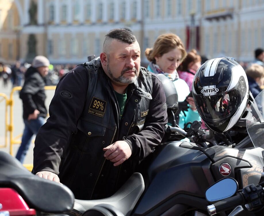  53690982  , 56 ,    -