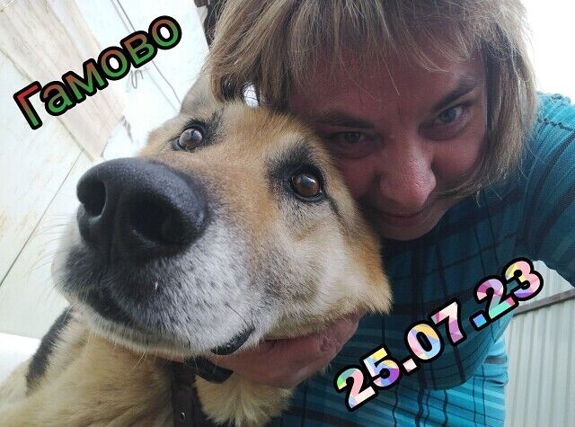 ���� 37788752 ������� ������, 49 ���, ���� ���������� � �����