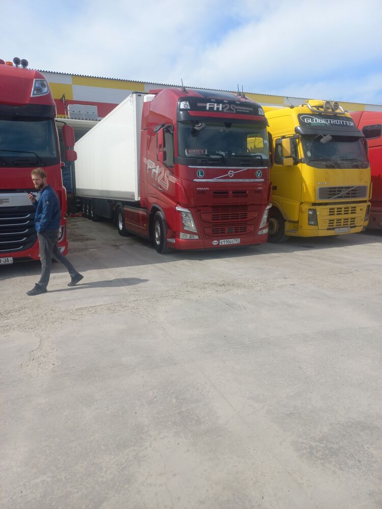  46070702  , 29 ,    