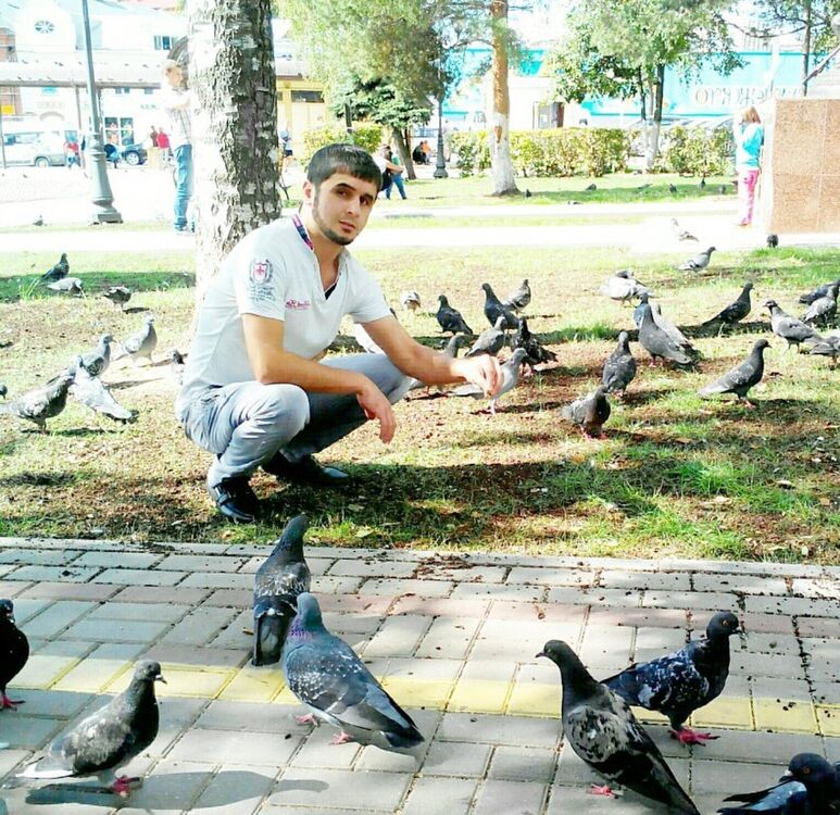 ���������� ������, ���� ������� �������, 35 ���, ������������ ��� ������, ����� � ���������, c�������� ���������