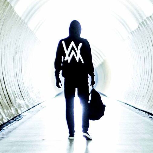 ���� 40233842 ����� �������, 22 ����, ���� ���������� � �������