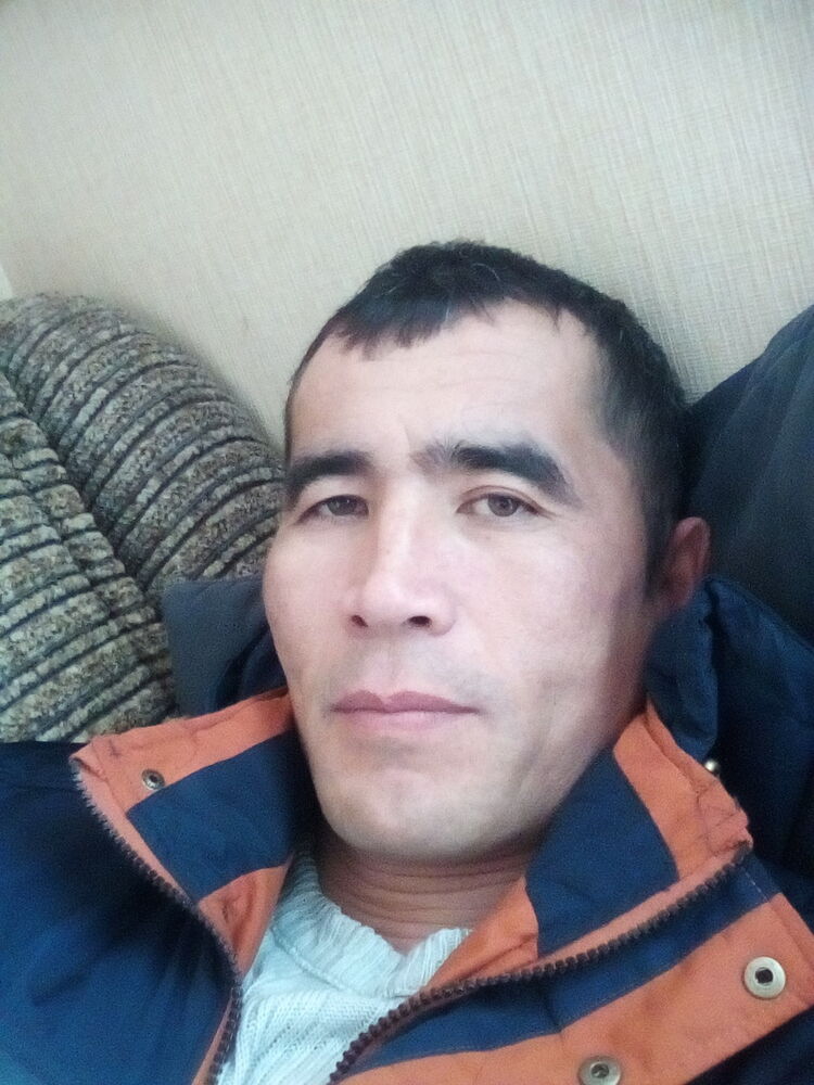  8315202  , 49 ,    -