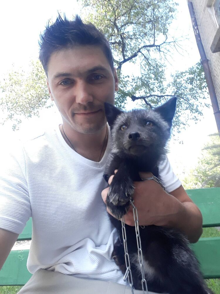 ���������� ������, ���� ������� ������, 38 ���, ������������ ��� ������, ����� � ���������