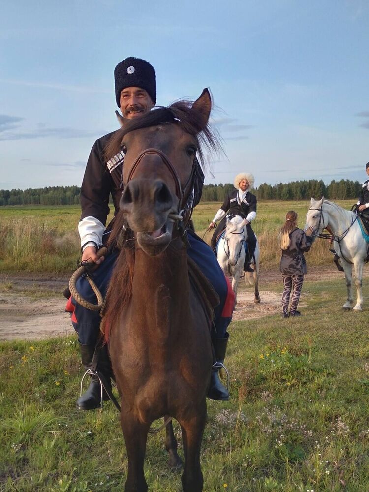 ���� 22176522 ������� �������, 46 ���, ���� ���������� � ���������