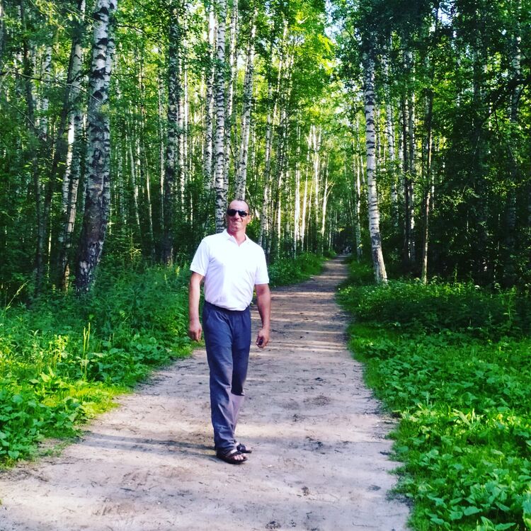 ���� 25602182 ������� �������, 48 ���, ���� ���������� � �����