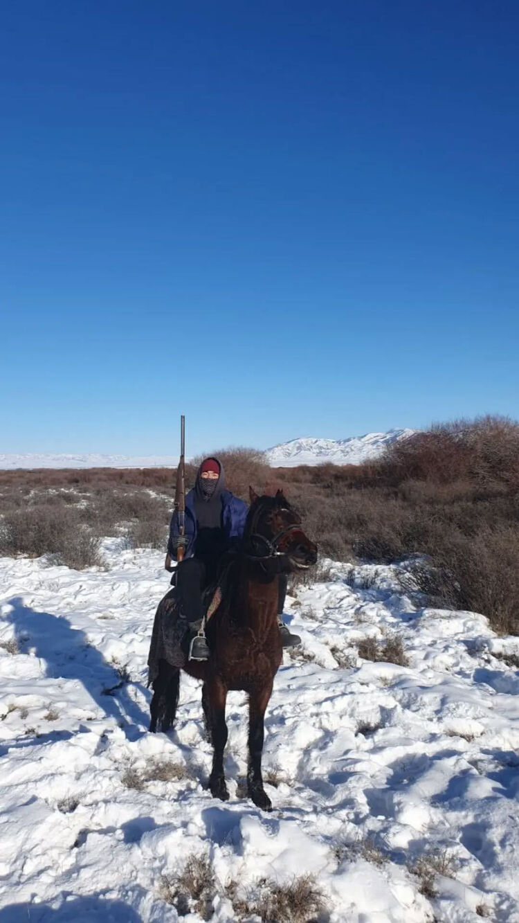 ���� 53507902 ����� ����, 25 ���, ���� ���������� � ������