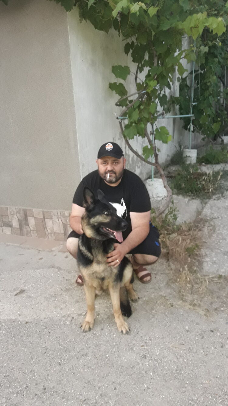 ���� 54868152 ������� ������, 43 ����, ���� ���������� � ���������