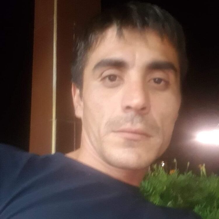  29916032  , 34 ,    