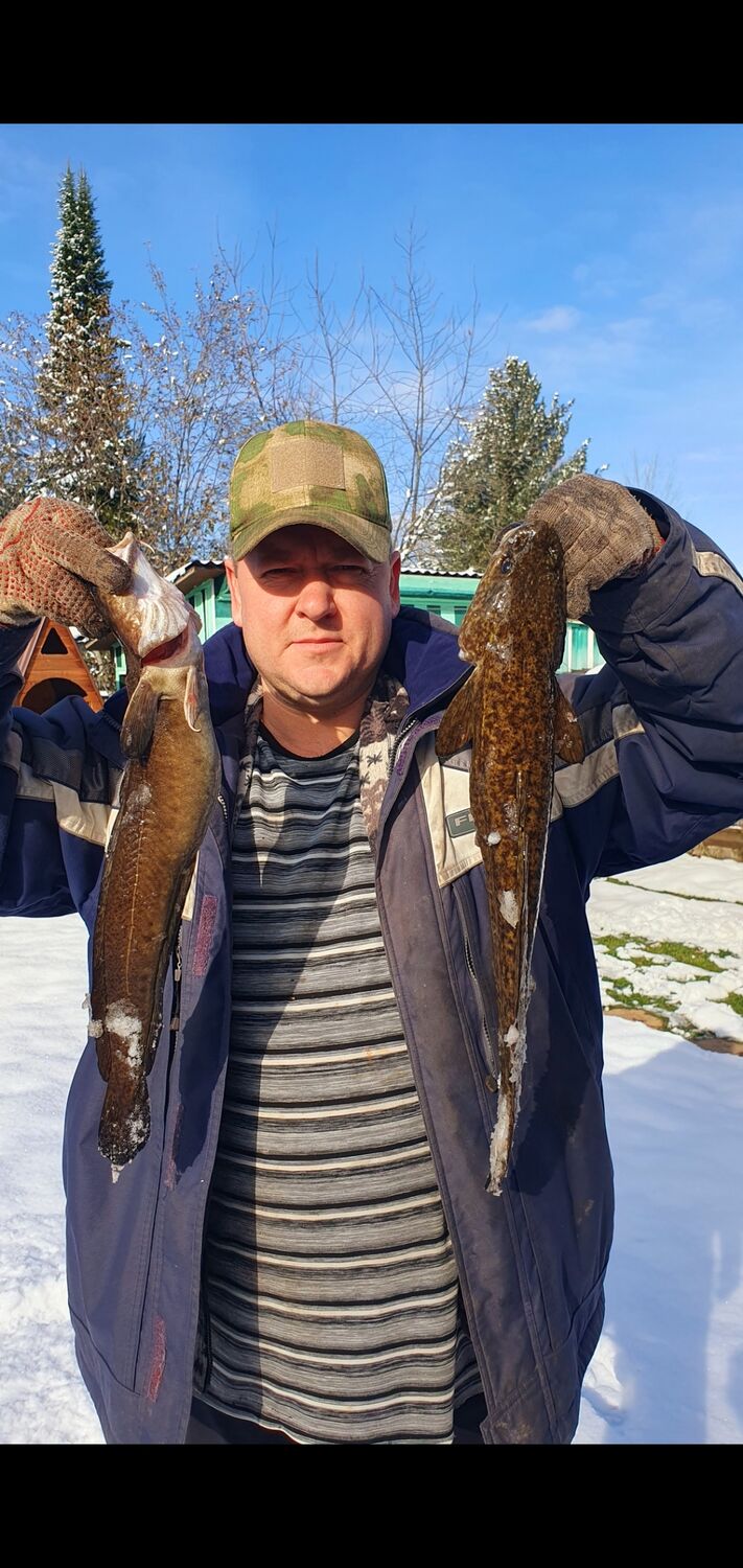 ���������� �����������, ���� ������� �������, 44 ����, ������������ ��� ����� � ���������, c�������� ���������