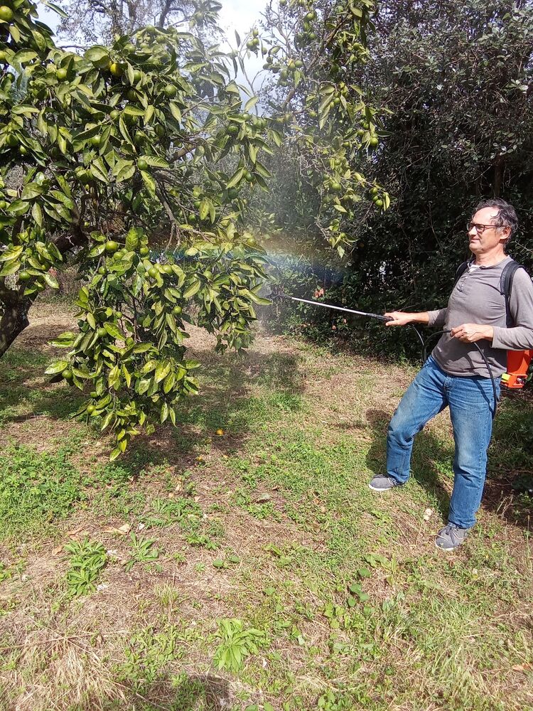 ���������� �������, ���� ������� �����, 49 ���, ������������ ��� ������, ����� � ���������