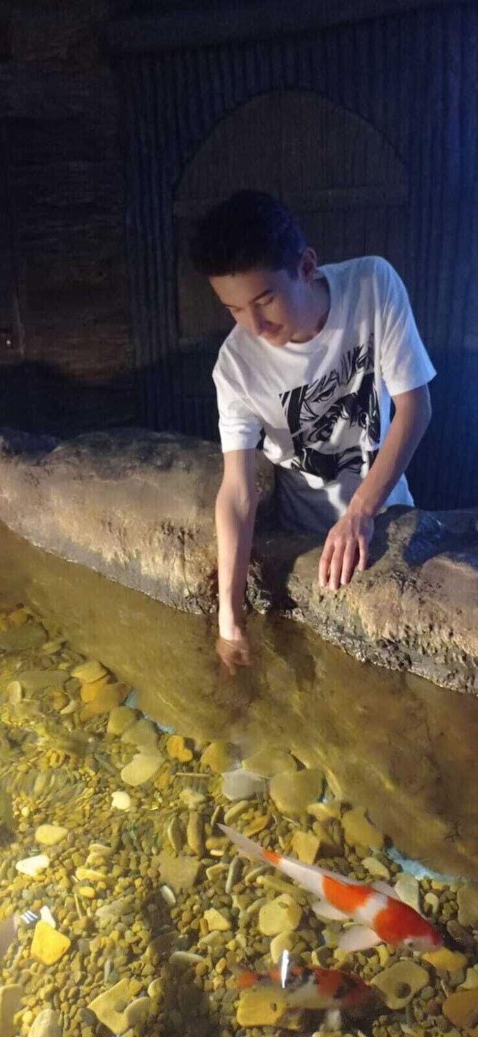  ,   , 20 ,   ,   