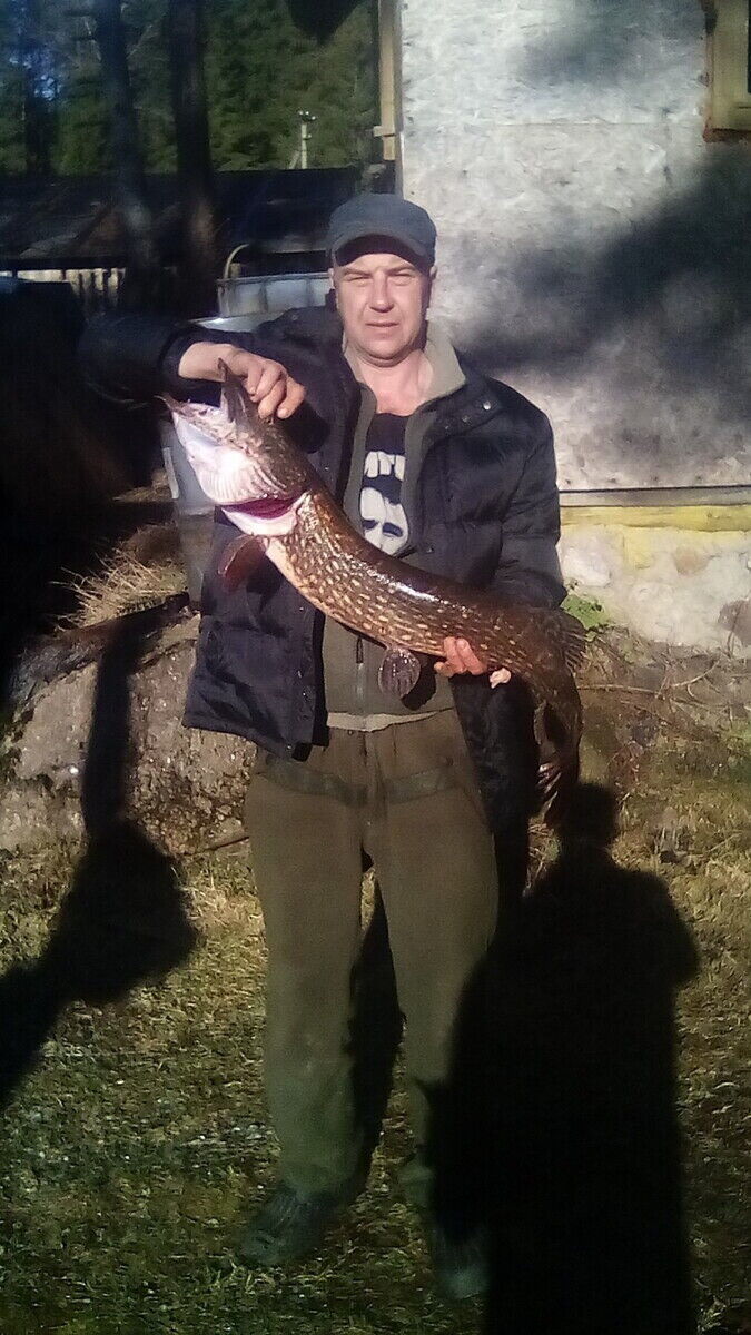  20285922  , 56 ,    -