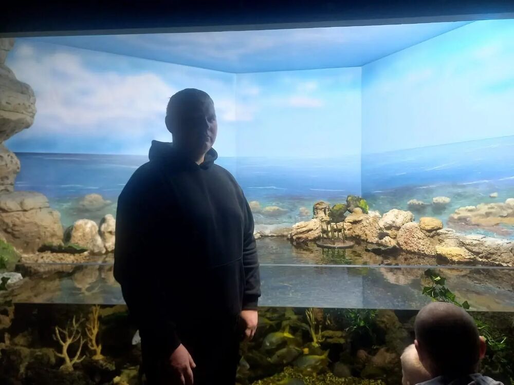 ���� 47213642 ����� �������, 22 ����, ���� ���������� � ������