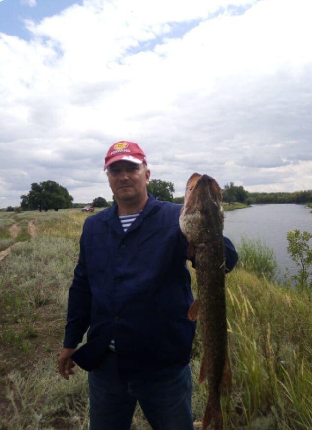 ���� 56255272 ������� ���������, 52 ����, ���� ���������� � ����������