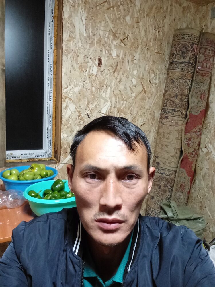  53730292  , 36 ,    -