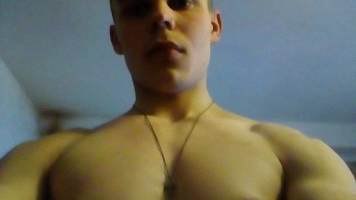  15361582  Archifhhb, 25 ,    