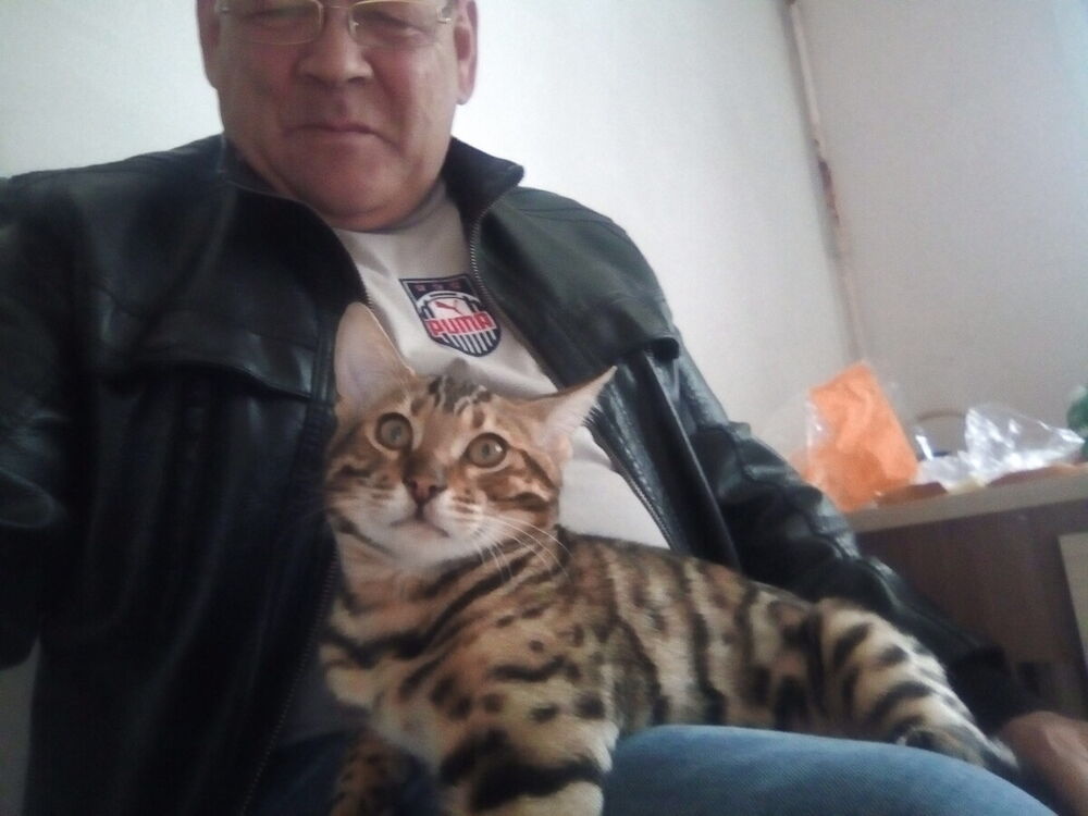  ,   , 62 ,   ,   , c 