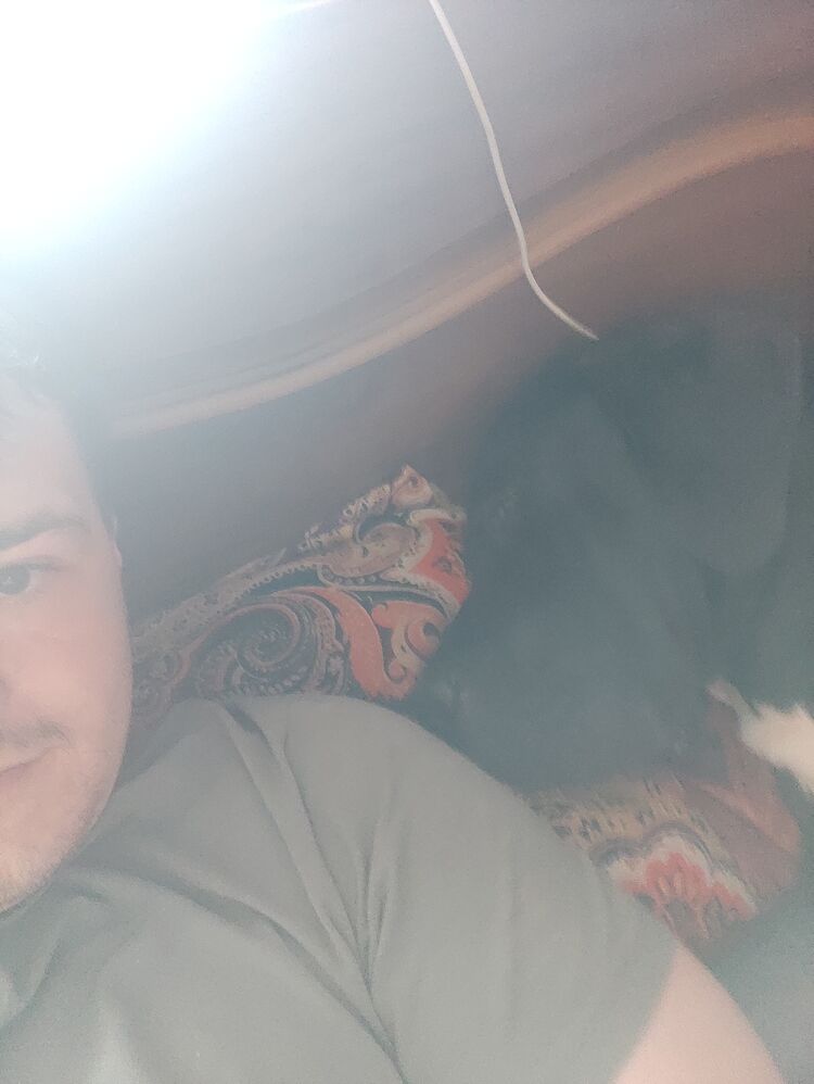 ���� 37276742 ����� �����, 24 ����, ���� ���������� � ����������