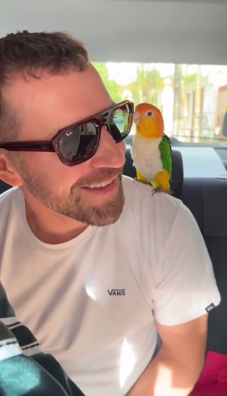 ���� 55774142 ������� ������, 45 ���, ���� ���������� � �������������