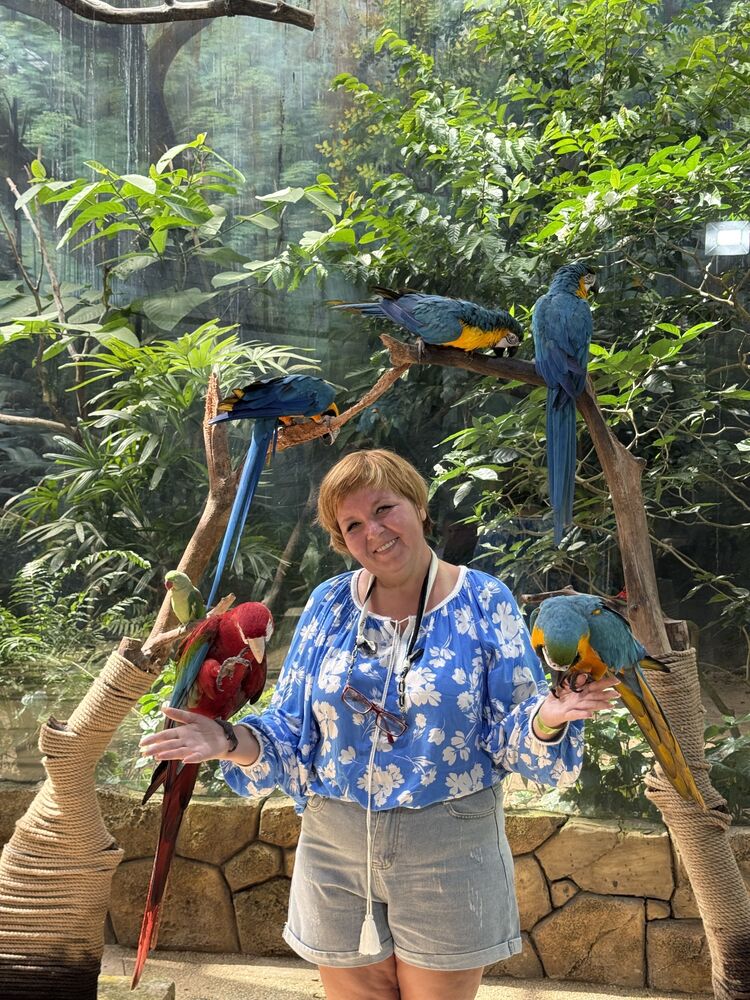 ���������� ����������, ���� ������� ������, 48 ���, ������������ ��� ����� � ���������, c�������� ���������