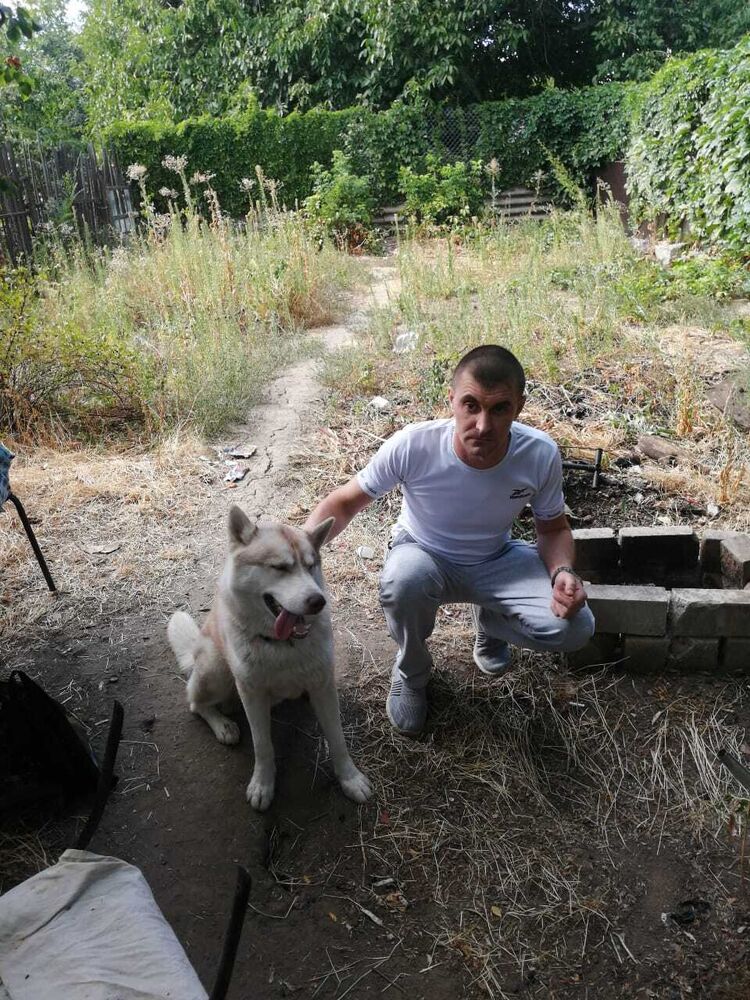 ���� 25387582 ������� ������, 42 ����, ���� ���������� � ����������