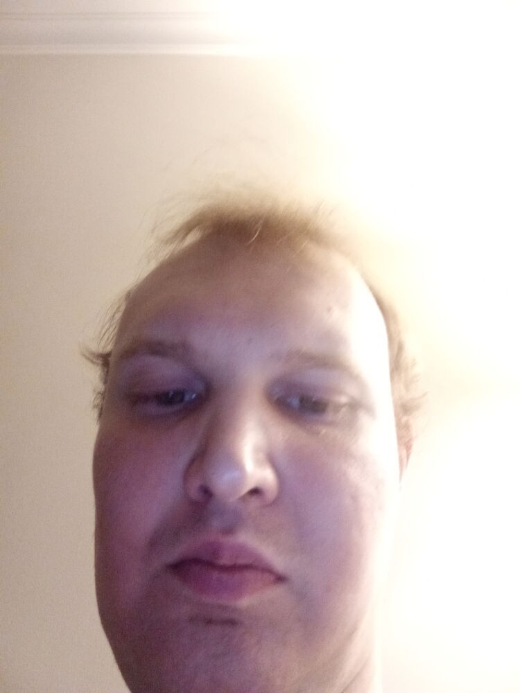  42593372  , 32 ,    