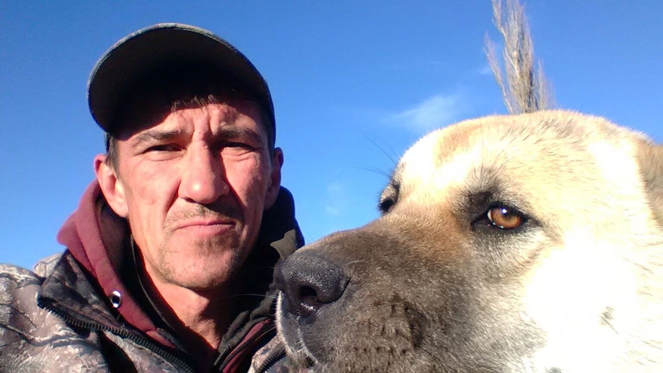 ���������� �����������, ���� ������� �����, 48 ���, ������������ ��� ����� � ���������, c�������� ���������, ���������