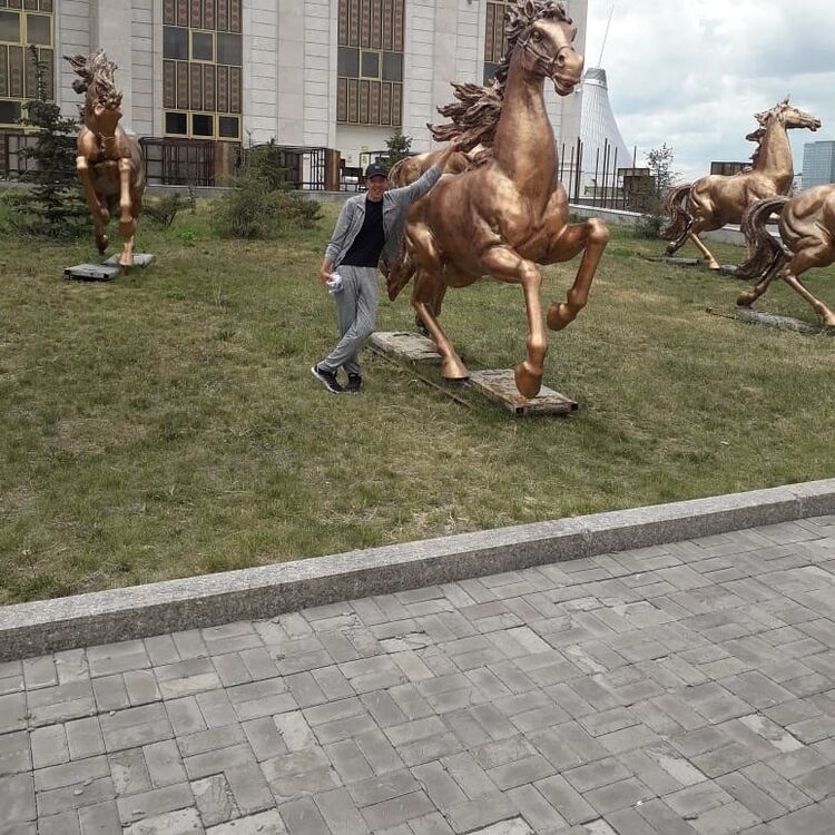  15906912  , 44 ,    Hunedoara