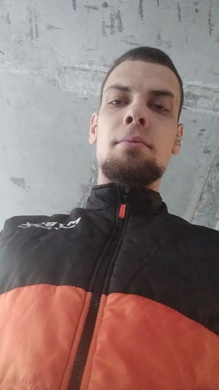  44262082  , 31 ,    