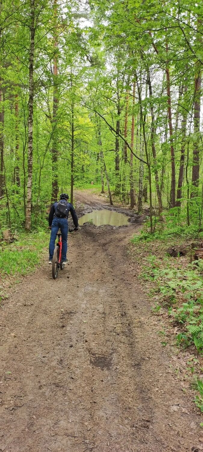 ���������� ������ ��������, ���� ������� Mikhail, 36 ���, ������������ ��� ������, ����� � ���������, c�������� ���������